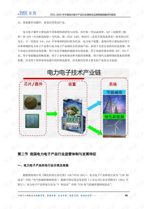 2021 2025年中国电力电子产品行业调研及品牌营销战略研究报告.pdf