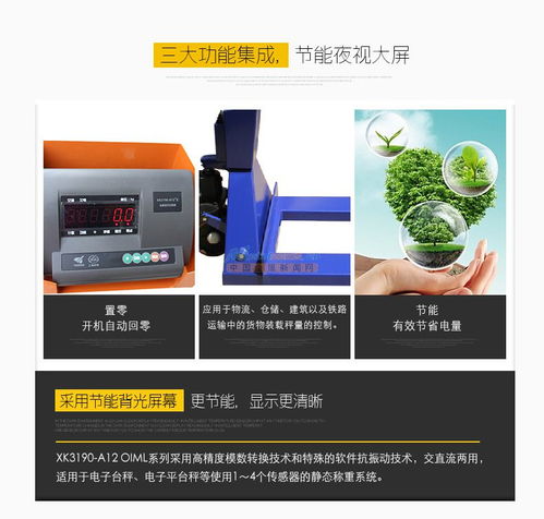 温州移动地磅厂