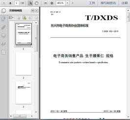 t dxds 002 2019电子商务销售产品 生干腰果仁 规格10页