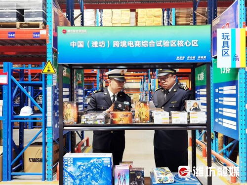 3天 1分钟,跨境电商零售进口税款电子支付在潍落地