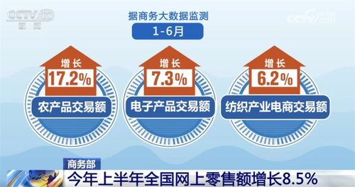 透过数据看上半年全国网上零售 成绩单 产业电商激发转型新潜力